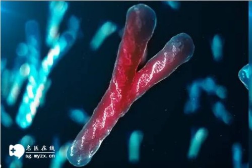 洛阳市妇幼保健院试管成功率一览，附河南省试管医院推荐